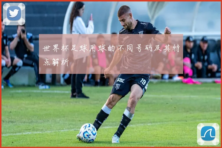 世界杯足球用球的不同号码及其特点解析