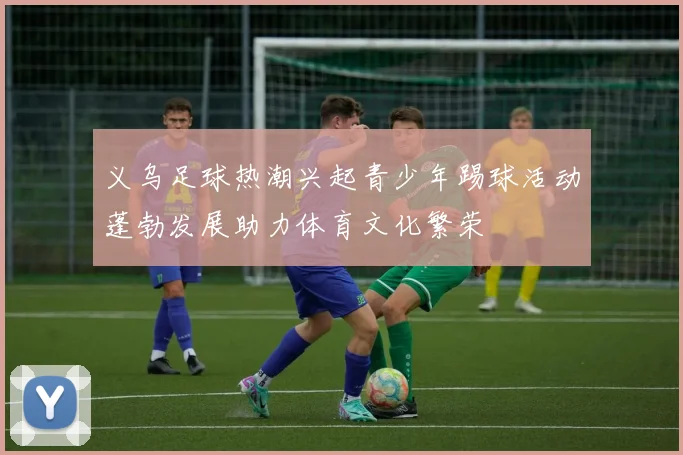 义乌足球热潮兴起青少年踢球活动蓬勃发展助力体育文化繁荣