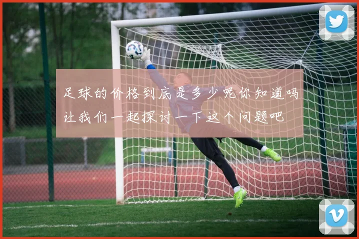 足球的价格到底是多少呢你知道吗让我们一起探讨一下这个问题吧