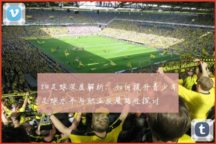 rw足球深度解析：如何提升青少年足球水平与职业发展路径探讨