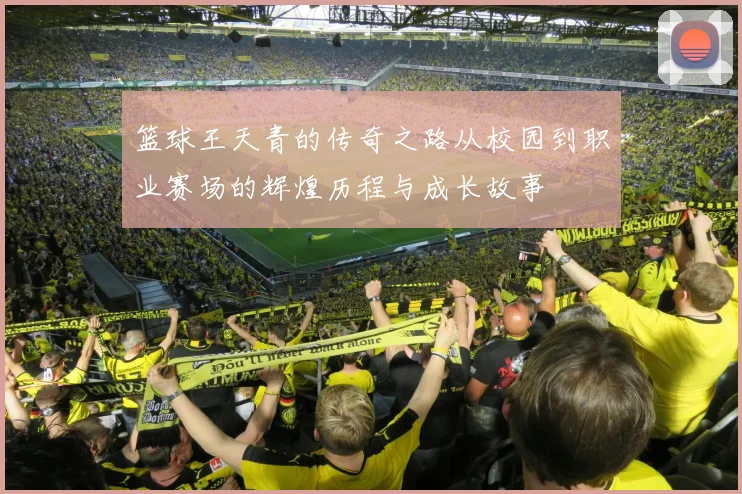 篮球王天青的传奇之路从校园到职业赛场的辉煌历程与成长故事