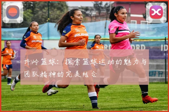 许岭篮球：探索篮球运动的魅力与团队精神的完美结合