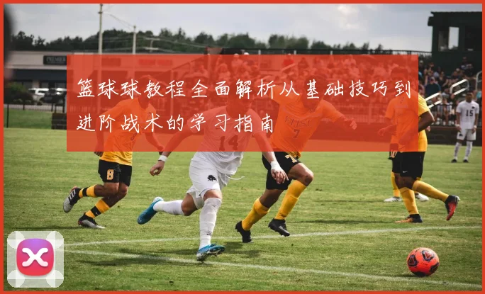 篮球球教程全面解析从基础技巧到进阶战术的学习指南