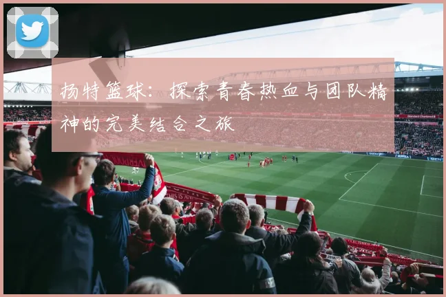 扬特篮球：探索青春热血与团队精神的完美结合之旅
