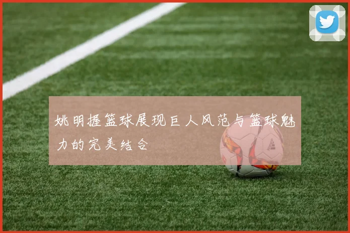 姚明握篮球展现巨人风范与篮球魅力的完美结合